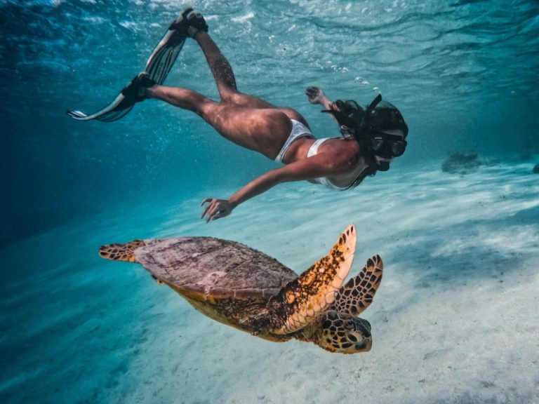 snorkelcookislands